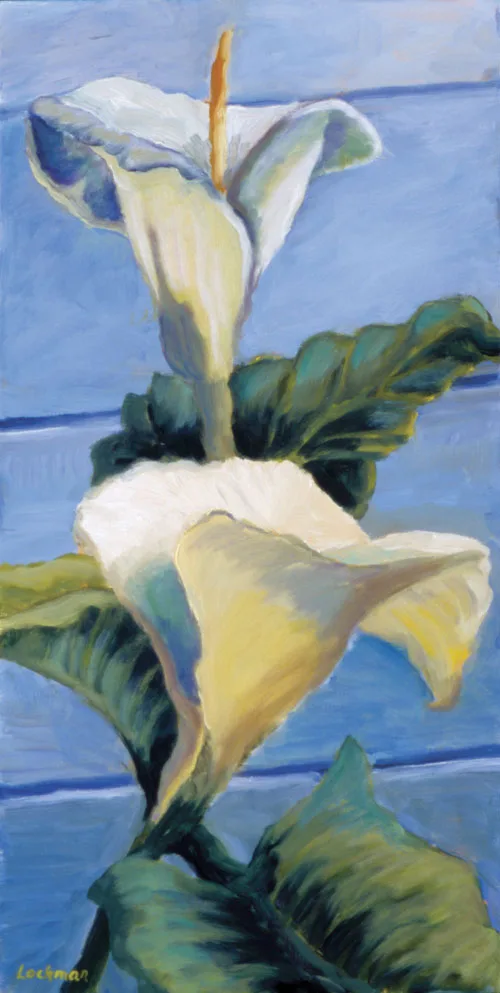 Cala Lilys by Terry Lockman
