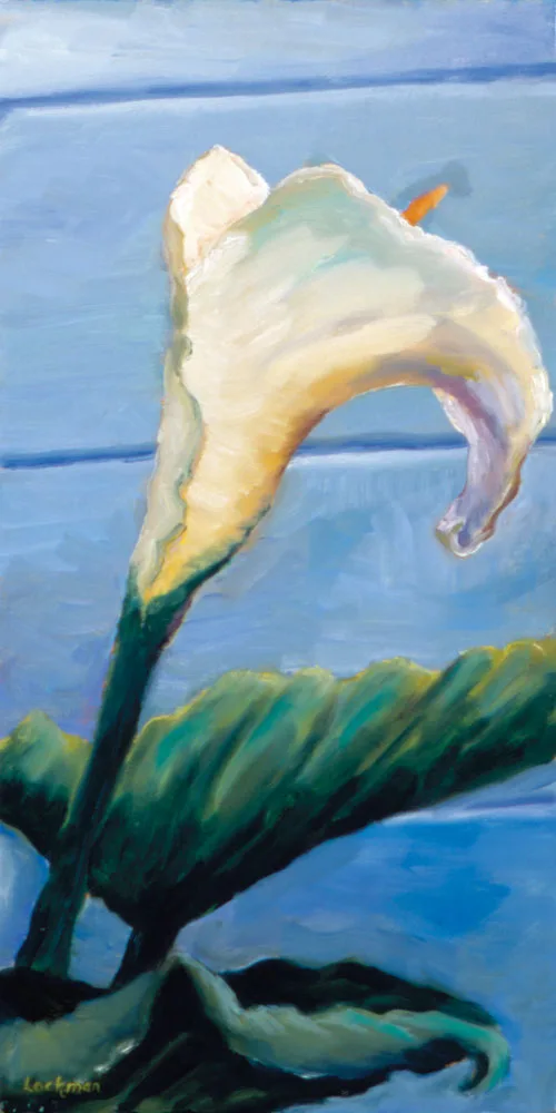 Cala Lilys III by Terry Lockman