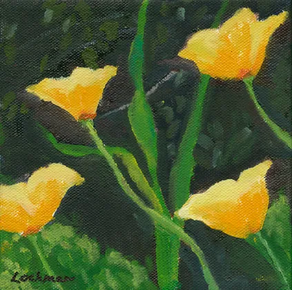 Coastal Poppies II by Terry Lockman