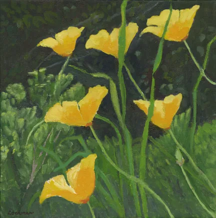 Coastal Poppies by Terry Lockman