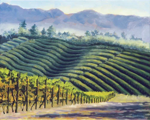 Fall in the Vineyard, Sebastopol by Terry Lockman