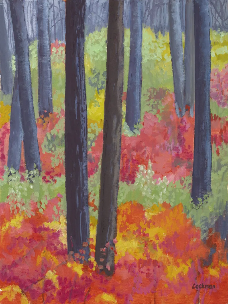 Image of Fall Color Over Steven's Pass