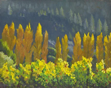 Luscious Light West of Healdsburg by Terry Lockman