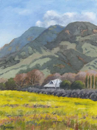 Mustard Beneath Mt. Helena by Terry Lockman