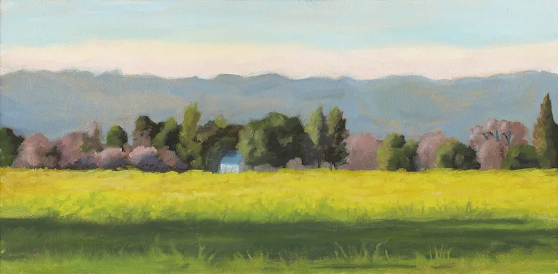 Mustard South of Sonoma by Terry Lockman