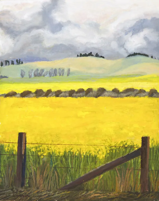 Mustard West of Petaluma by Terry Lockman