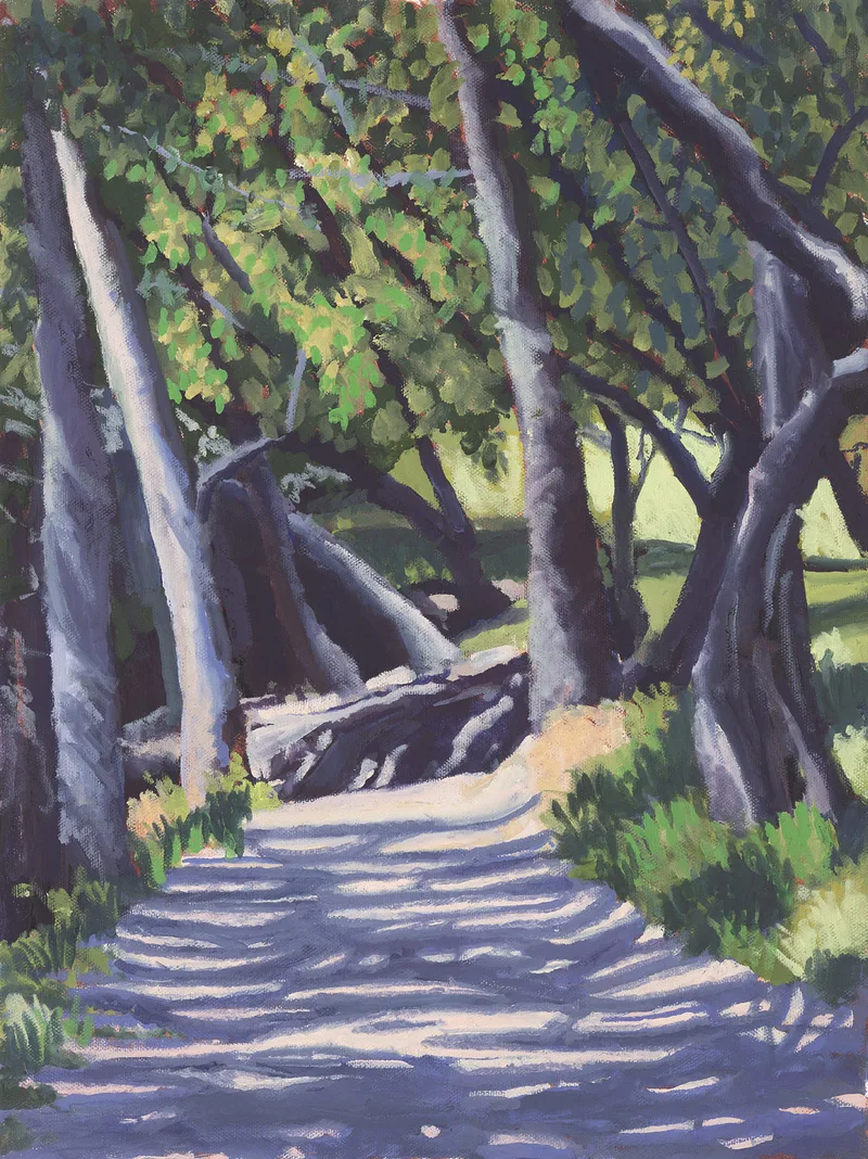 Image of Path Around Lake Lagunitas