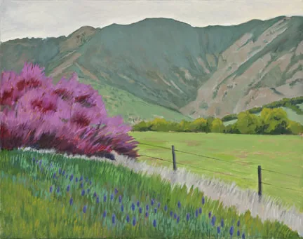 Red Bud Blooms by Terry Lockman
