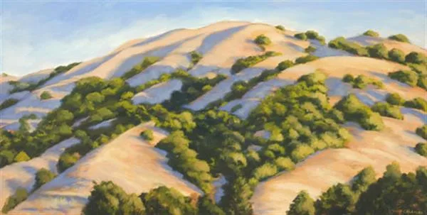 Summer Shadows, Lucas Valley