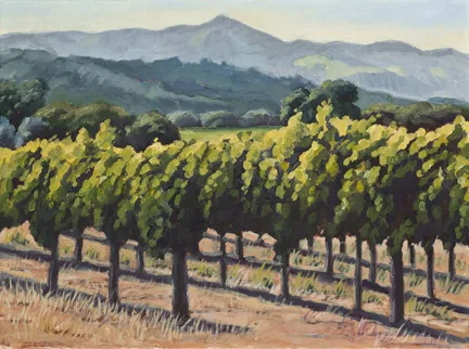 Napa Afternoon