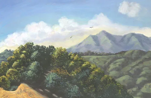 Over the Treetops
