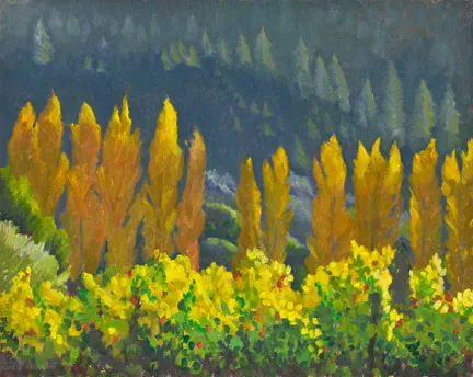 Luscious Light West to Healdsburg