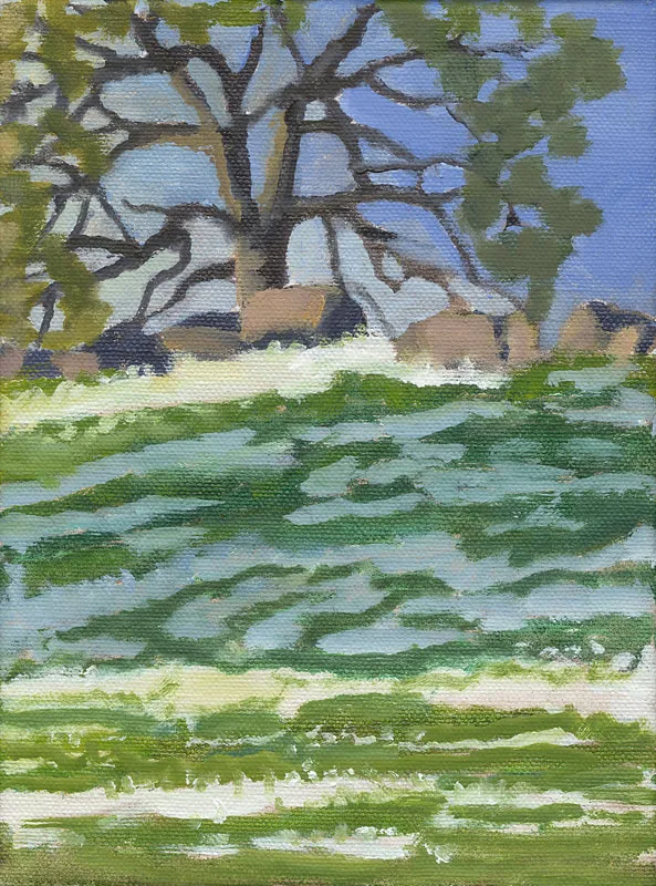 Spring Flowers in the Foothills II by Terry Lockman