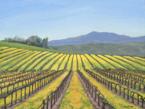 Spring, Mount Vineyard by Terry Lockman
