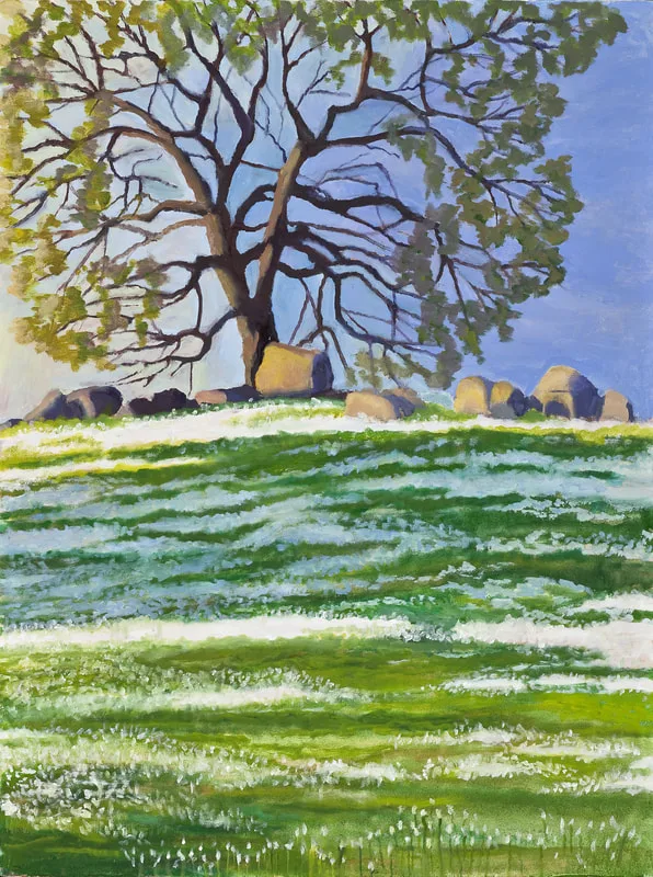 Spring Flowers in the Foothills by Terry Lockman