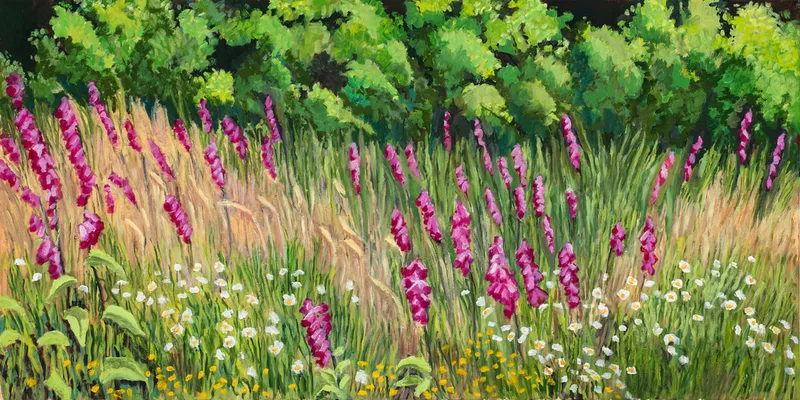 Image of Summer Wildflowers on the Olympic Peninsula
