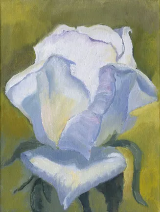 White Rose by Terry Lockman