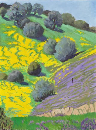 Wildflower Hill Highway 198 by Terry Lockman