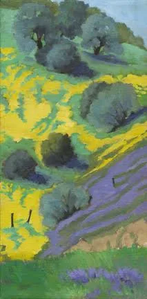 Wildflower Hill, Highway 198 II by Terry Lockman