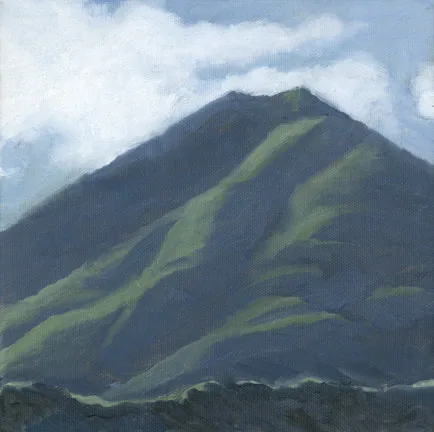 Winter Light on Mt. Tam II by Terry Lockman