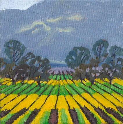 Winter Mustard, Napa II by Terry Lockman