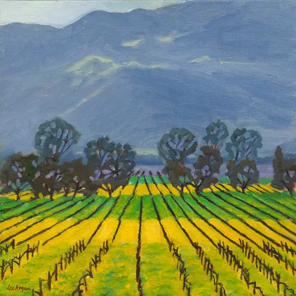 Winter Mustard, Napa by Terry Lockman